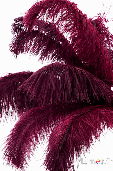 Struisvogel - 30-40 cm - grijs natuurlijk-bordeaux